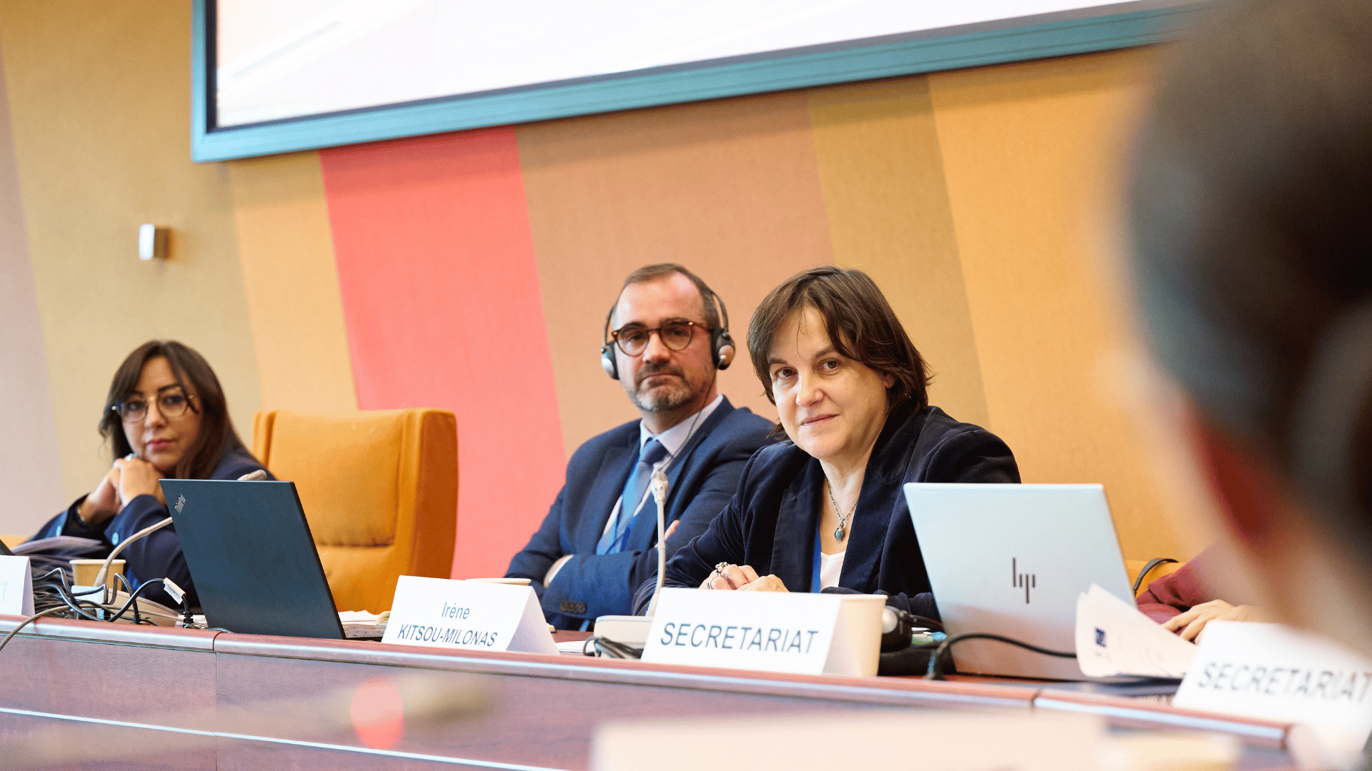 La Représentante spéciale Irene Kitsou-Milonas échange avec le Comité exécutif sur l’intolérance religieuse