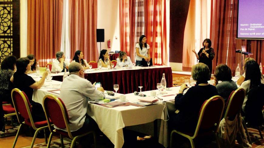 Training of Experts on the Human Rights-based approach in Combating Violence against Women