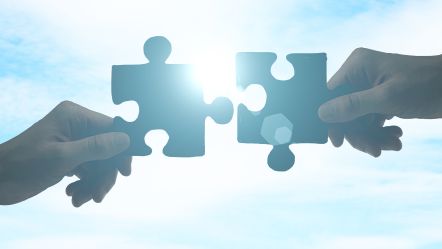 Partners