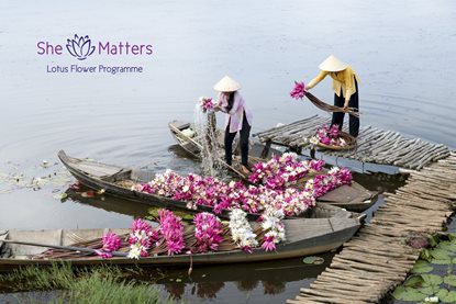 Lotus Flower