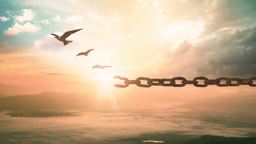 Respect for autonomy in mental healthcare: Council of Europe adopts new recommendation