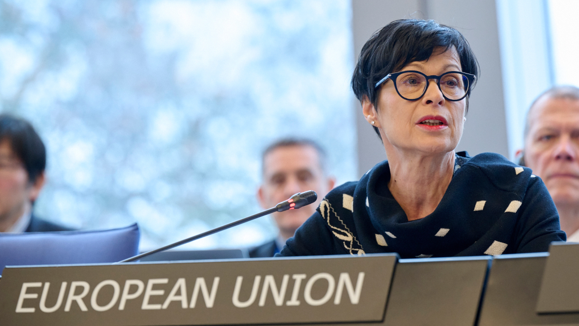 Réunion des Délégués des Ministres le 11 février 2026