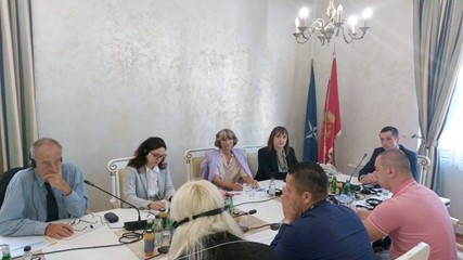 Pompidou Group supports Montenegro in enhancing knowledge and skills of correctional staff on substance use and addictions