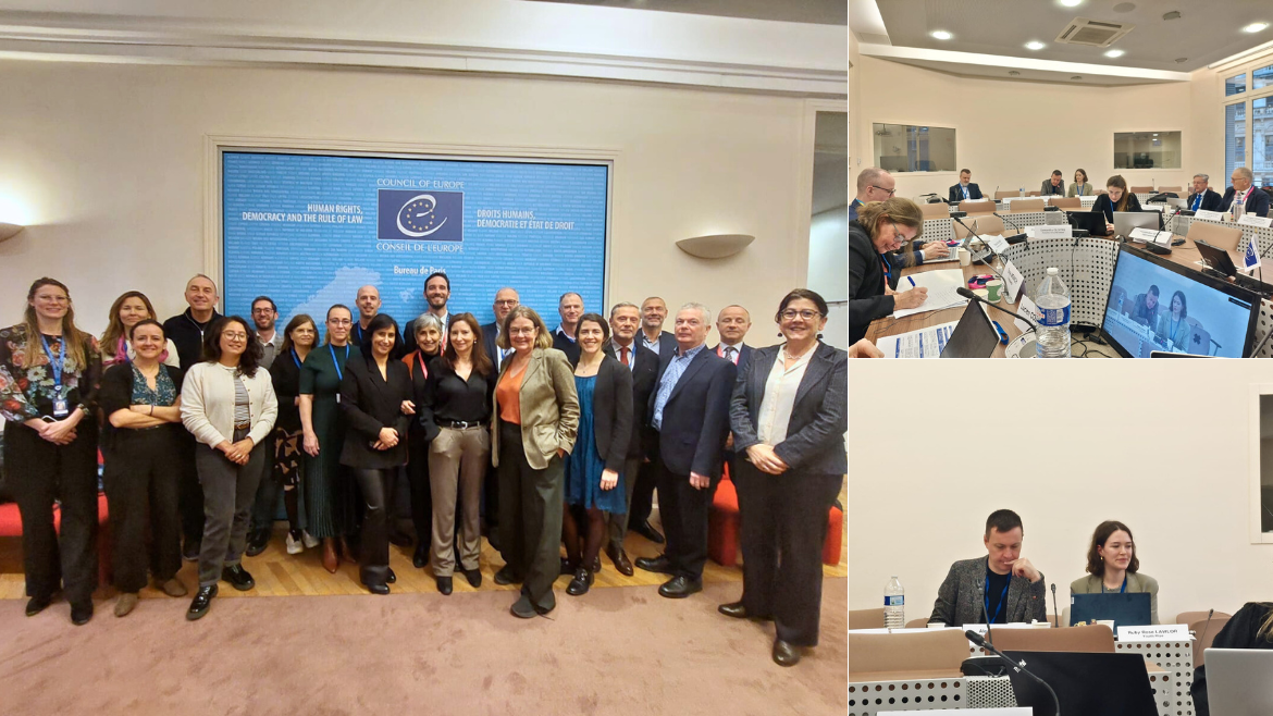 Second meeting of the Drafting Committee on Human Rights and Drug Policies (DH-PDA)