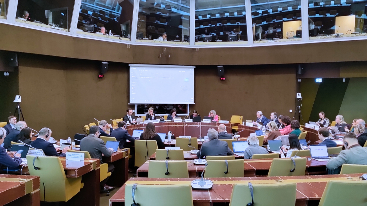 Les correspondants permanents du Groupe Pompidou se réunissent avant la conférence ministérielle afin de finaliser les décisions clés pour le cycle de travail 2026-2029