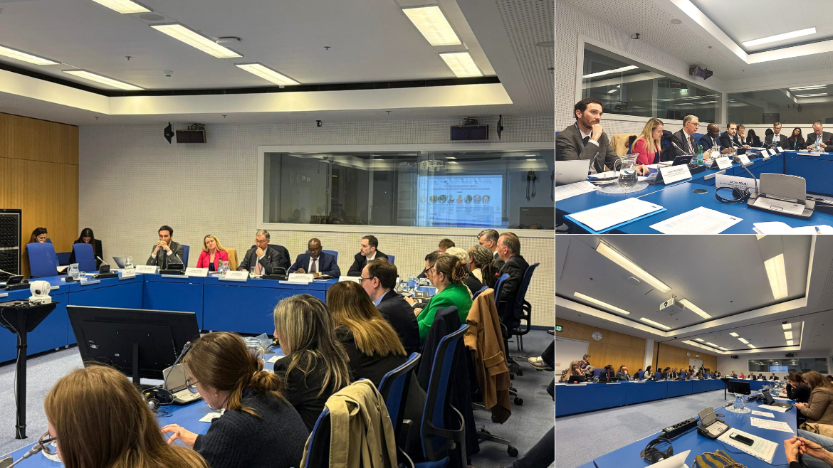 The Council of Europe International Co-operation Group on Drugs and Addictions contributes to the 69th Session of the UN Commission on Narcotic Drugs (CND)