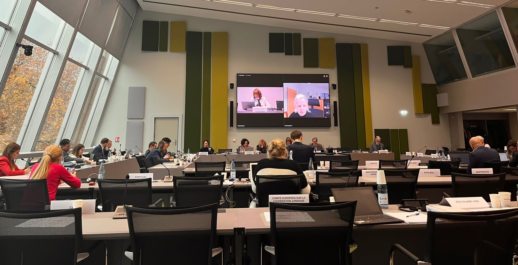 Exchange of views between the CCPE and the CDPC