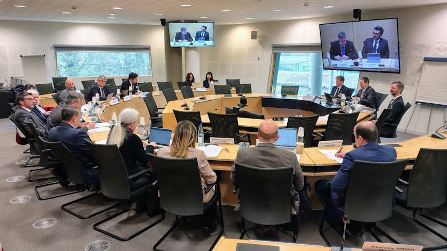 Le Groupe de travail examine la structure du futur Avis du CCPE sur le soutien et les garanties efficaces à apporter aux procureurs afin de permettre un ministère public efficace
