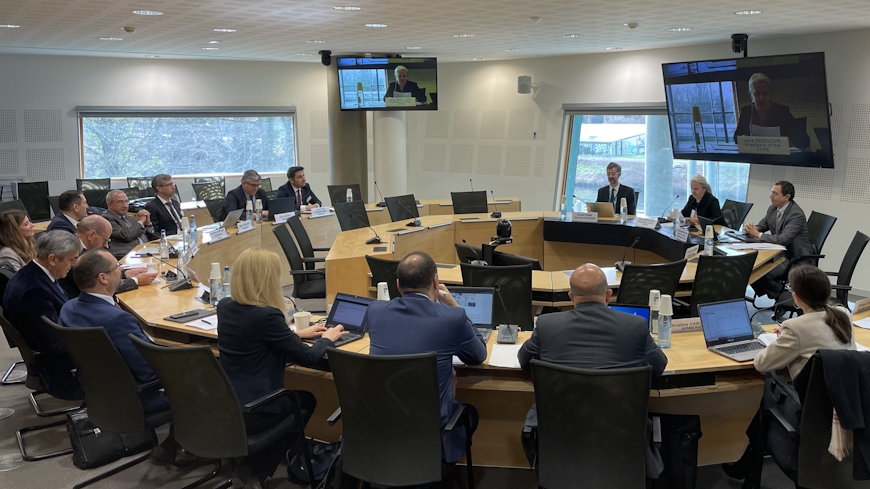 Le Groupe de travail examine la structure du futur Avis du CCPE sur la gestion des ministères publics pour garantir leur indépendance et leur impartialité