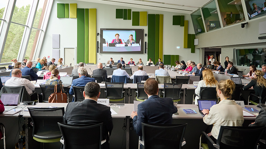 Lors de la 1ère réunion, les délégués de 39 États membres ont discuté des défis démocratiques et des tâches du CDDEM pour la période biennale 2024-2025