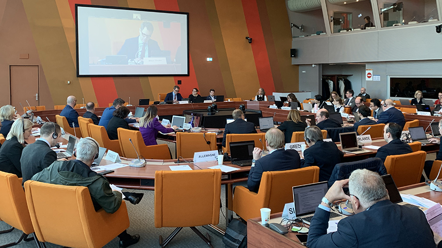 Results of the Second Plenary Meeting of the Steering Committee on Democracy