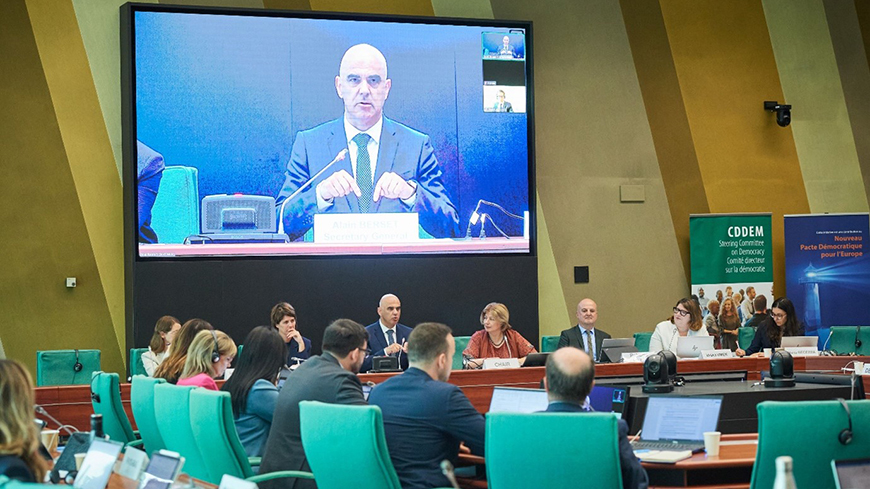 The Steering Committee on Democracy exchanges with the Council of Europe Secretary General
