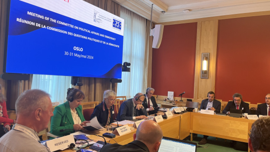 La Présidente de la Commission de Venise a participé à la réunion plénière de la Commission des questions politiques et de la démocratie de l'Assemblée parlementaire