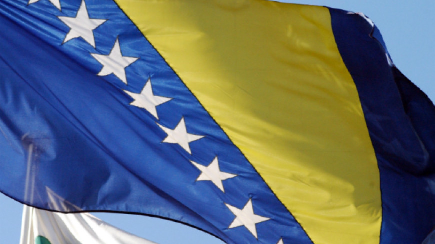 BOSNIA AND HERZEGOVINA – Request for opinion