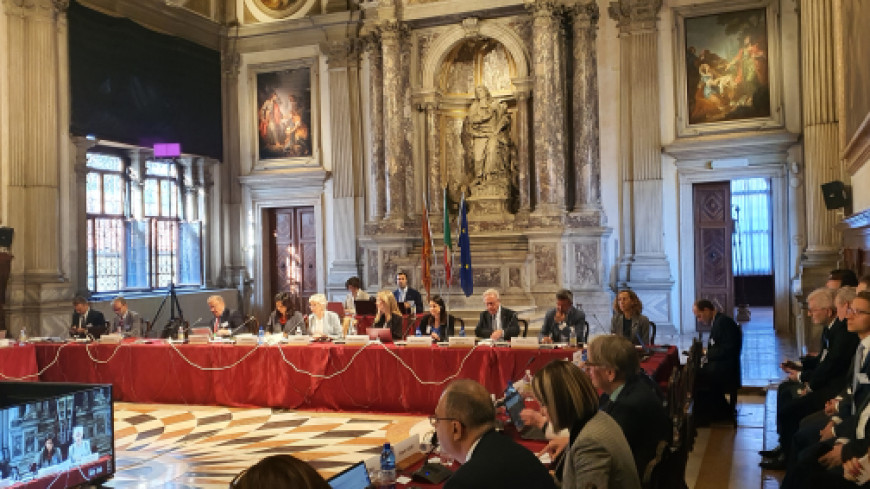 136e session plénière de la Commission de Venise