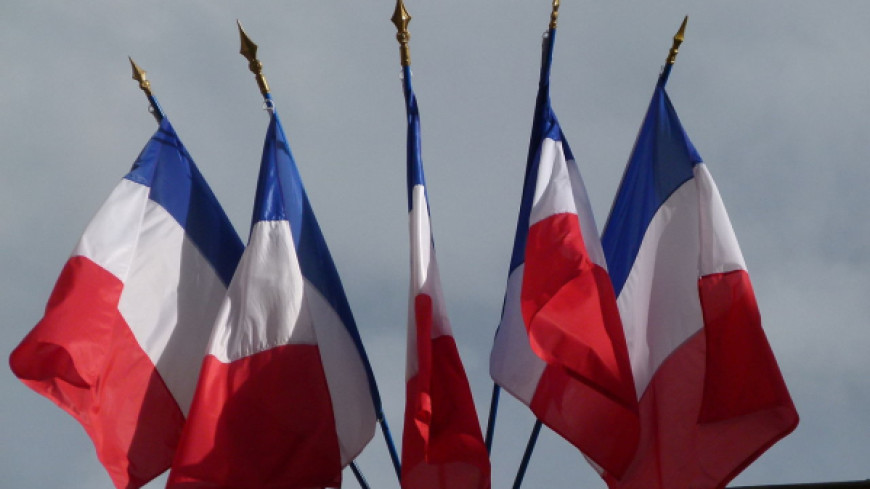 PACE/France – Requests for opinion