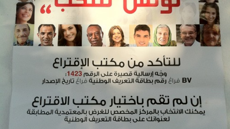 Tunisia - Elections of the National Constituent Assembly - legal assistance to the PACE observation mission