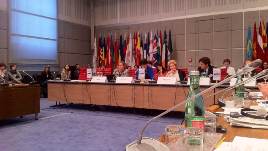 OSCE Human Dimension Meeting