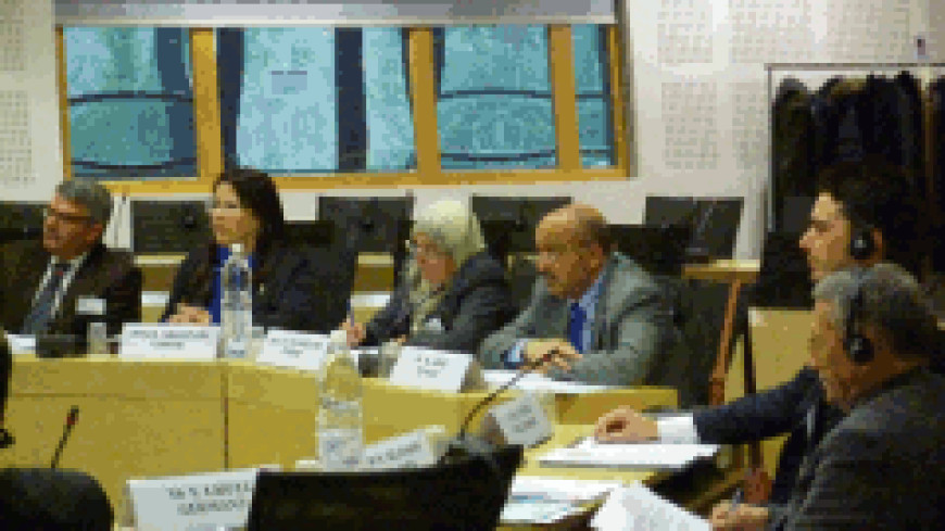 Tunisia - meeting on electoral systems