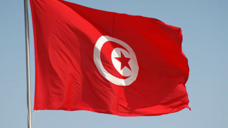 Request for opinion – Tunisia
