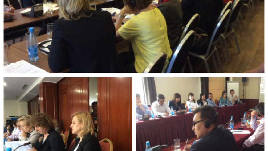 Assistance to the Constitutional Chamber of the Kyrgyz Republic