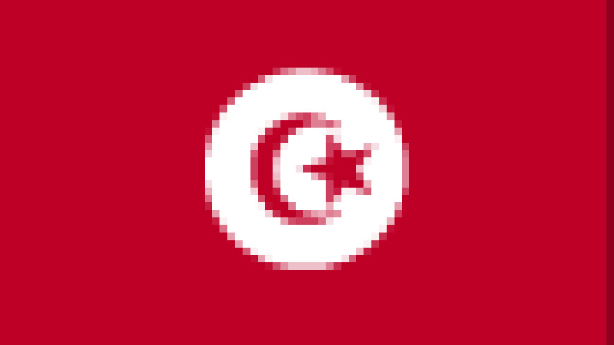 Tunisia – constitutional justice