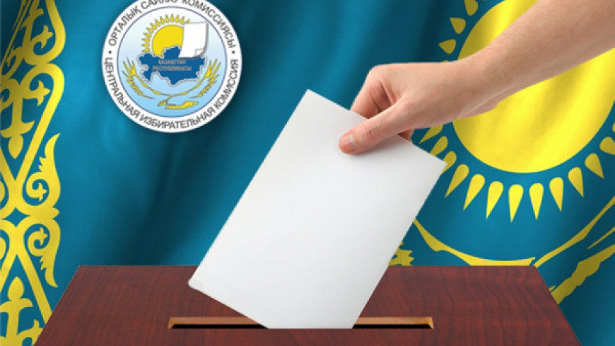 Kyrgyzstan - Parliamentary elections- Legal assistance to the observation mission of the PACE