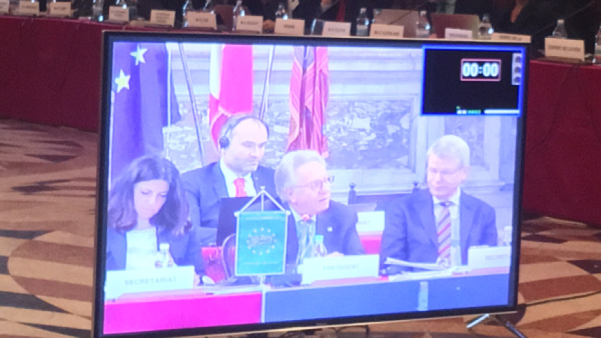 113th Plenary Session of the Venice Commission of the Council of Europe