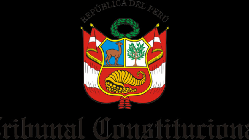 Latin America – International conference on constitutional reform and democratic stability and the Sub-Commission on Latin America