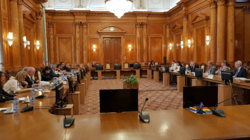 Romania – forthcoming opinion – visit to the country