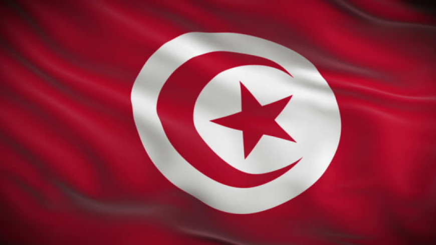 Request for an opinion - Tunisia