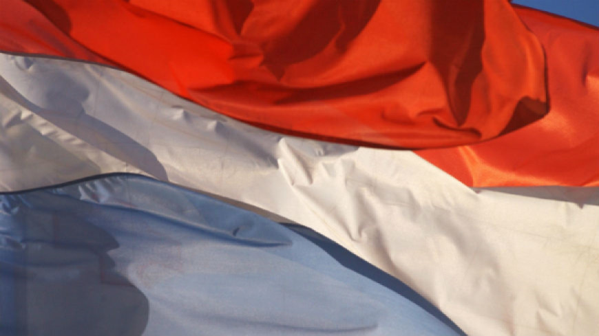 Request for opinion – Luxembourg - draft new Constitution