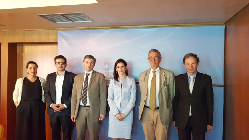 Albania – Forthcoming opinion - Visit to the country