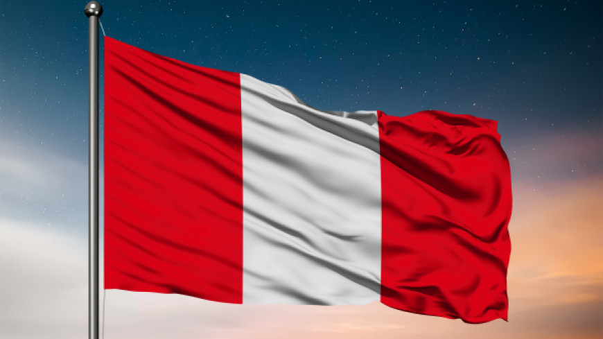 Request for opinion – PERU