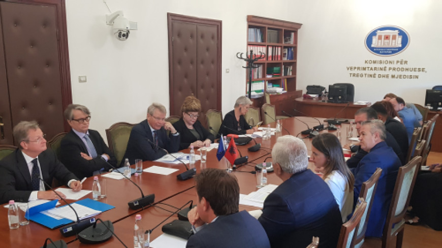ALBANIA – forthcoming opinion – country visit