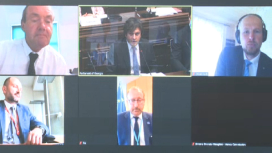 Modalities of elections during a pandemic - Hearing in the Georgian Parliament