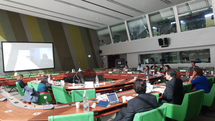 ARMENIA – Council of Europe Action plan 2019-2022 - Steering Committee