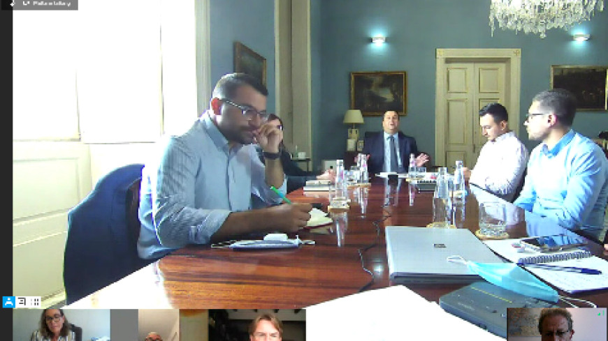 MALTA – forthcoming opinion - video meetings