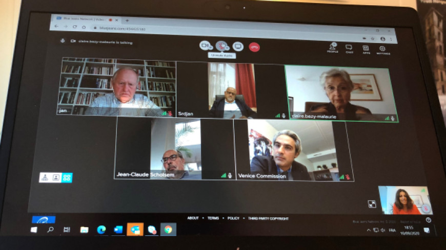 ICELAND – forthcoming opinion – video meetings