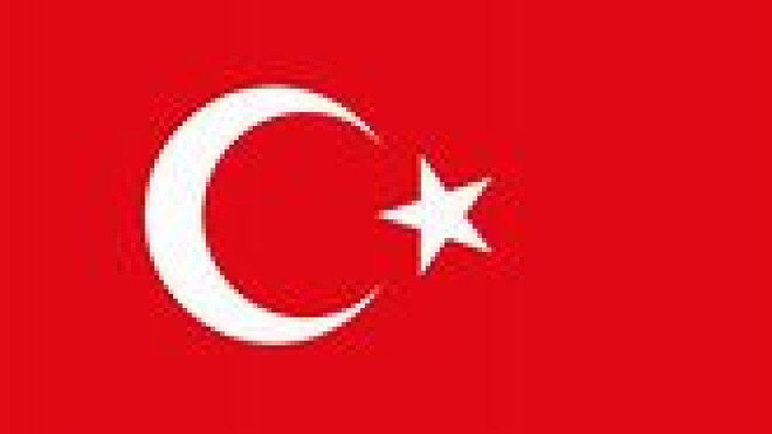 Request for opinion - PACE / TURKEY