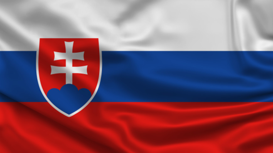 SLOVAKIA - Request for opinion