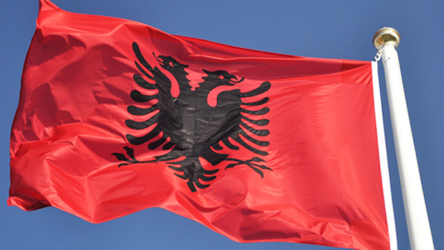 ALBANIA – Request for amicus curiae brief