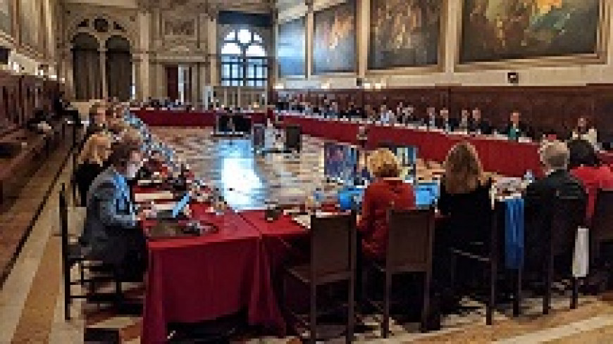 133rd Plenary Session of the Venice Commission