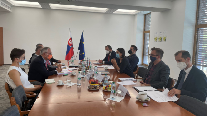 SLOVAK REPUBLIC – forthcoming opinion – country visit