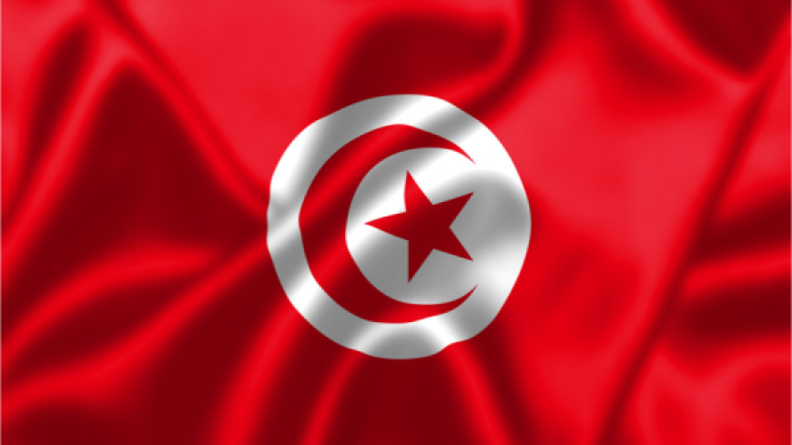 TUNISIA - Urgent opinion on the constitutional and legislative framework concerning the referendum and the elections announced by the President of the Republic