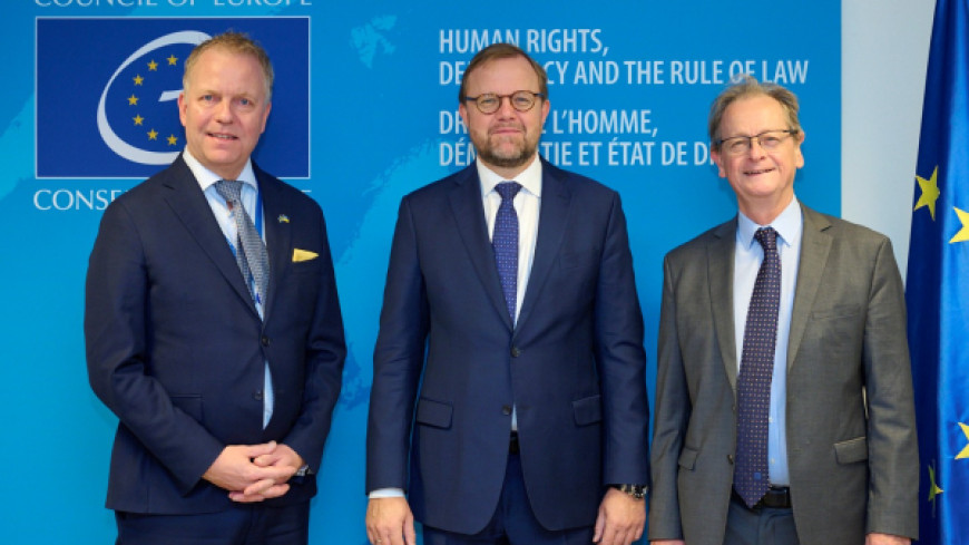 Sweden makes a voluntary contribution