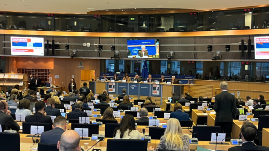 President of the Venice Commission participates in hearing on 