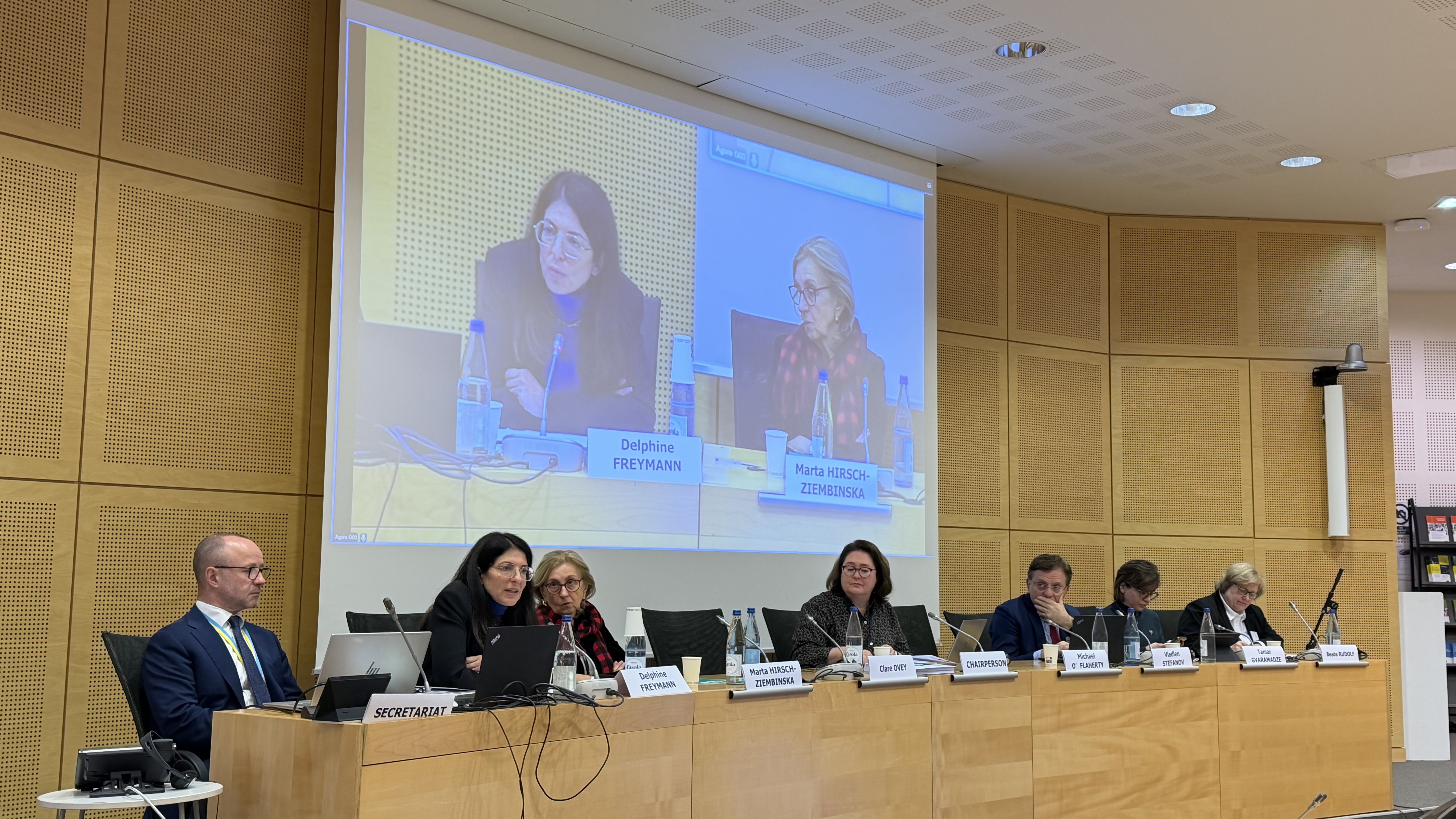 Participation of the Venice Commission in the CDDH Workshop on Ombudsperson Institutions and National Human Rights Institutions