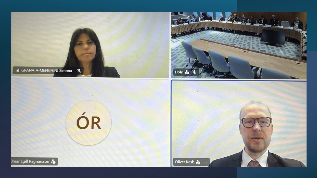 Participation de la Commission de Venise à une audition organisée avec des commissions du Parlement d’Islande