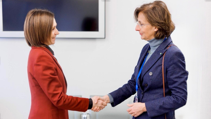 The President of the Venice Commission meets H.E. the President of the Republic of Moldova
